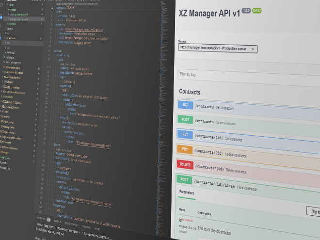 API design