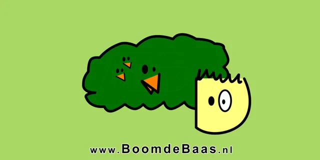 Het logo. De boom en de baas.